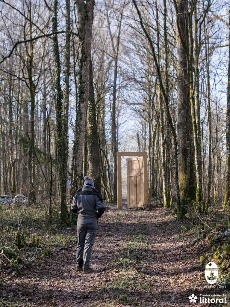 Dans  la for&ecirc;t, un promeneuse arrive devant une grande porte.