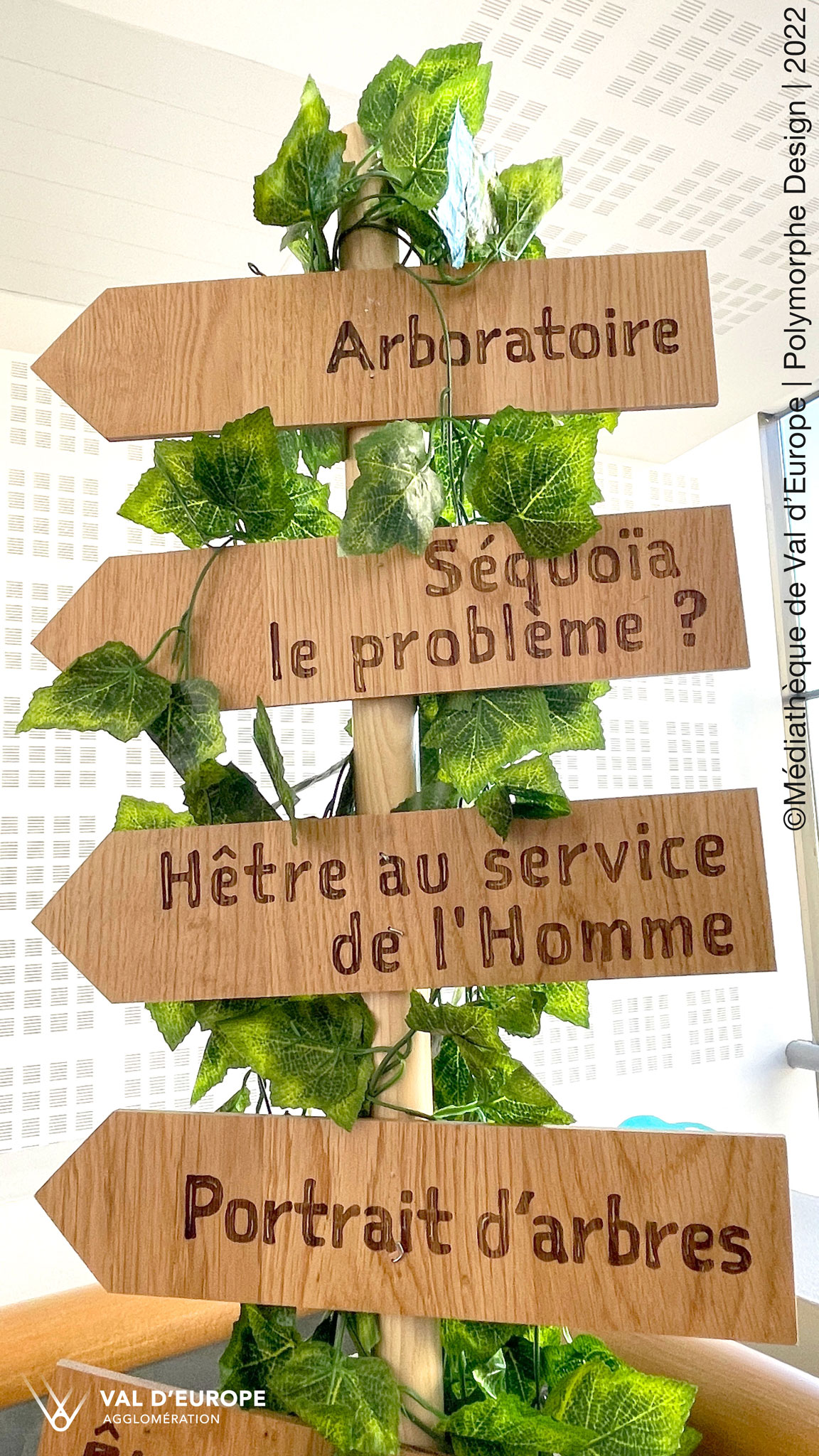Signal&eacute;tique dans l'exposition : Arboratoire, S&eacute;quOia le probl&egrave;me, H&ecirc;tre au service de l'omme, portrait d'arbres.